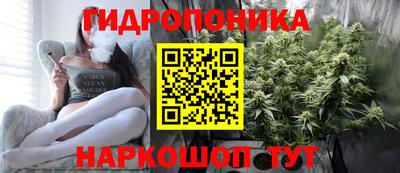 гидропоника Бийск